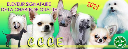 banniere charte 2021